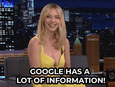 "Google has a lot of information"