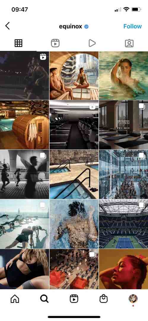 Equnox Instagram